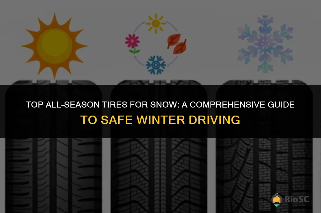 best 22 all season tires for snow