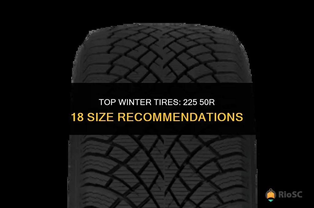 best 225 50r 18 tires for winter