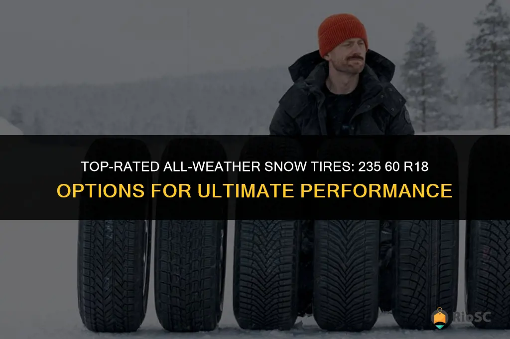 best 235 60 r18 all weather snow tires