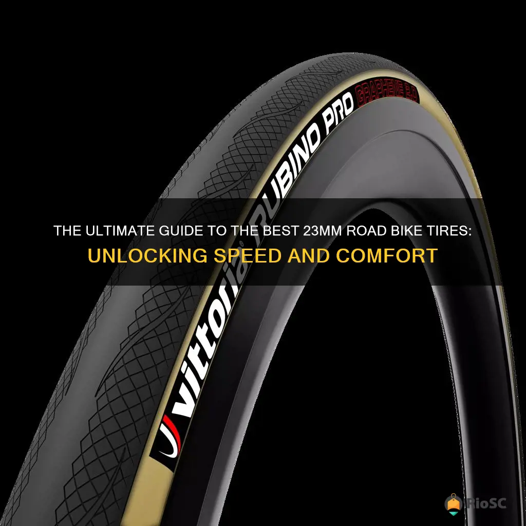 best 23mm road bike tires