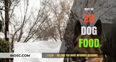 Top-Rated Dog Food: A Comprehensive Guide to the Best 24 Options for Your 20-Pound Pup