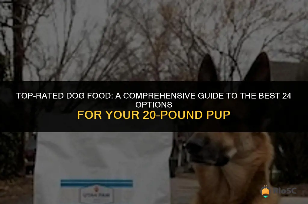 best 24 20 dog food