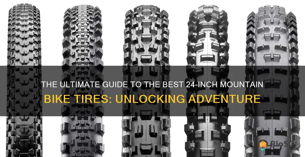 best 24 tires for mountain bike