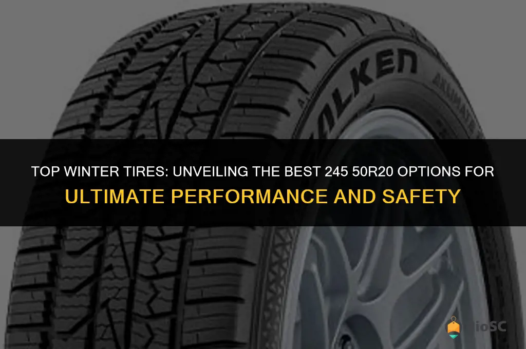 best 245 50r20 winter tires
