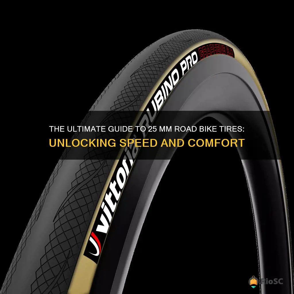 best 25 mm road bike tires