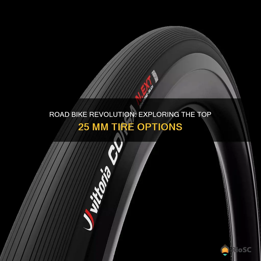 best 25 mm road bike tires