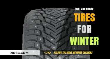 Top Winter Performers: 255 55r20 Tires That Excel in Snowy Conditions