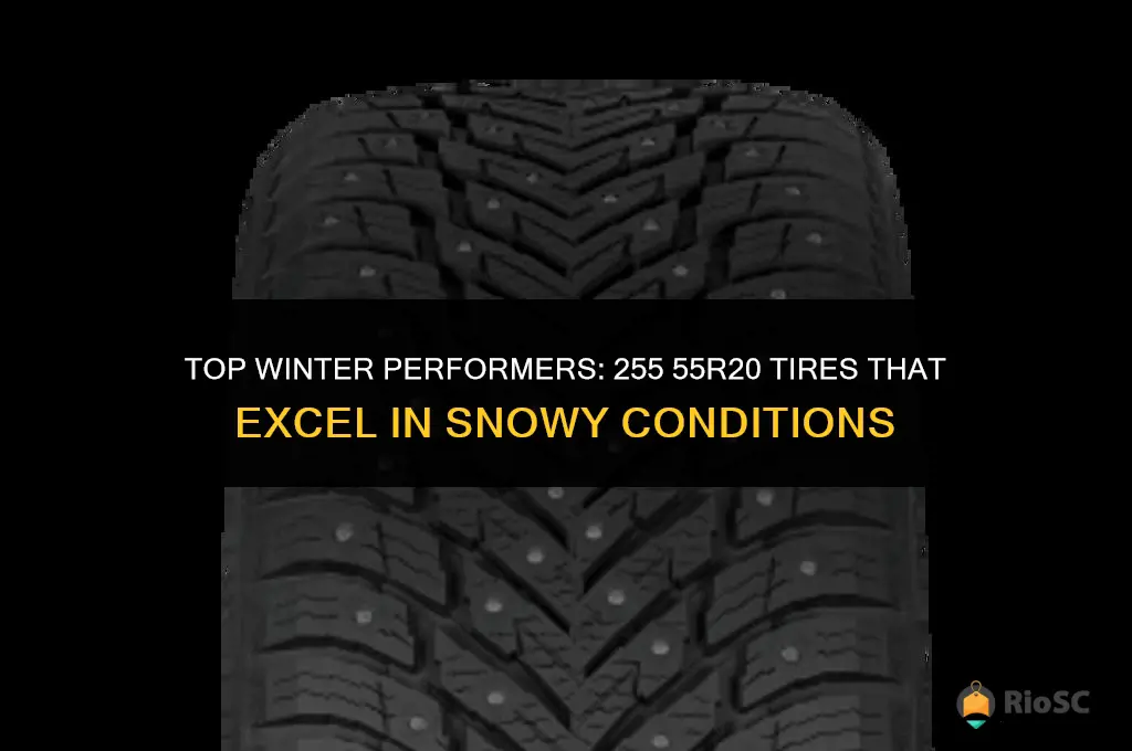 best 255 55r20 tires for winter