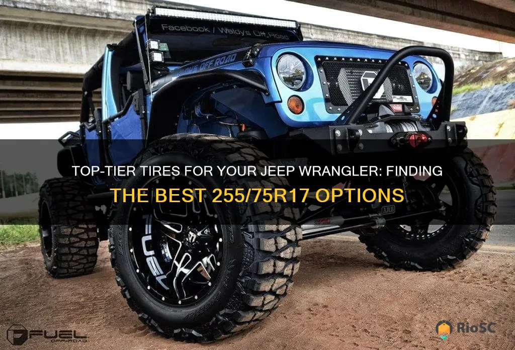 best 255 75r17 tires for jeep wrangler