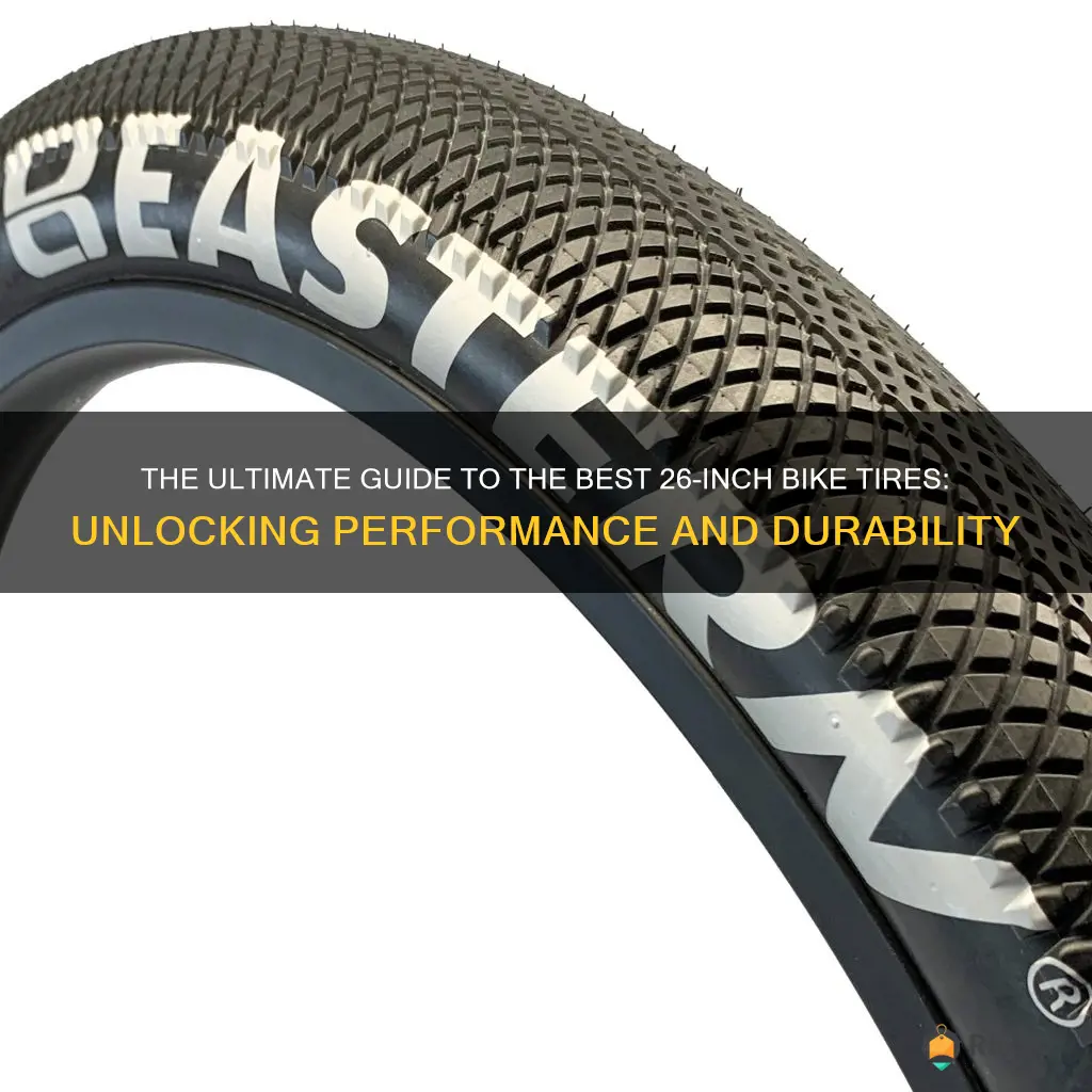 best 26 bike tires