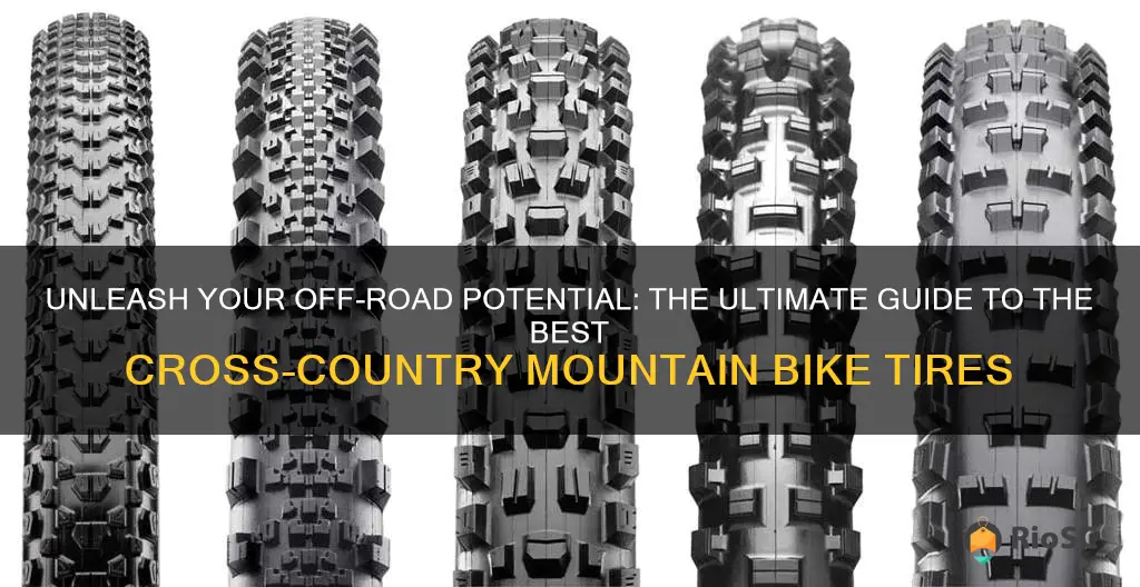 best 26 cross country mountain bike tires