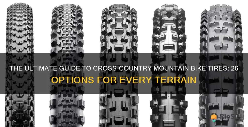 best 26 cross country mountain bike tires