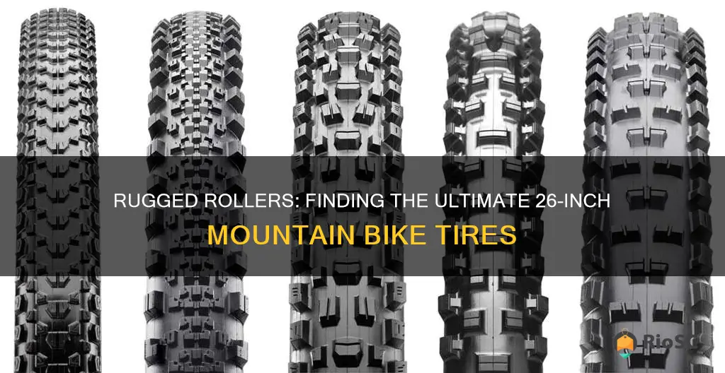best 26 inch mountain bike tires