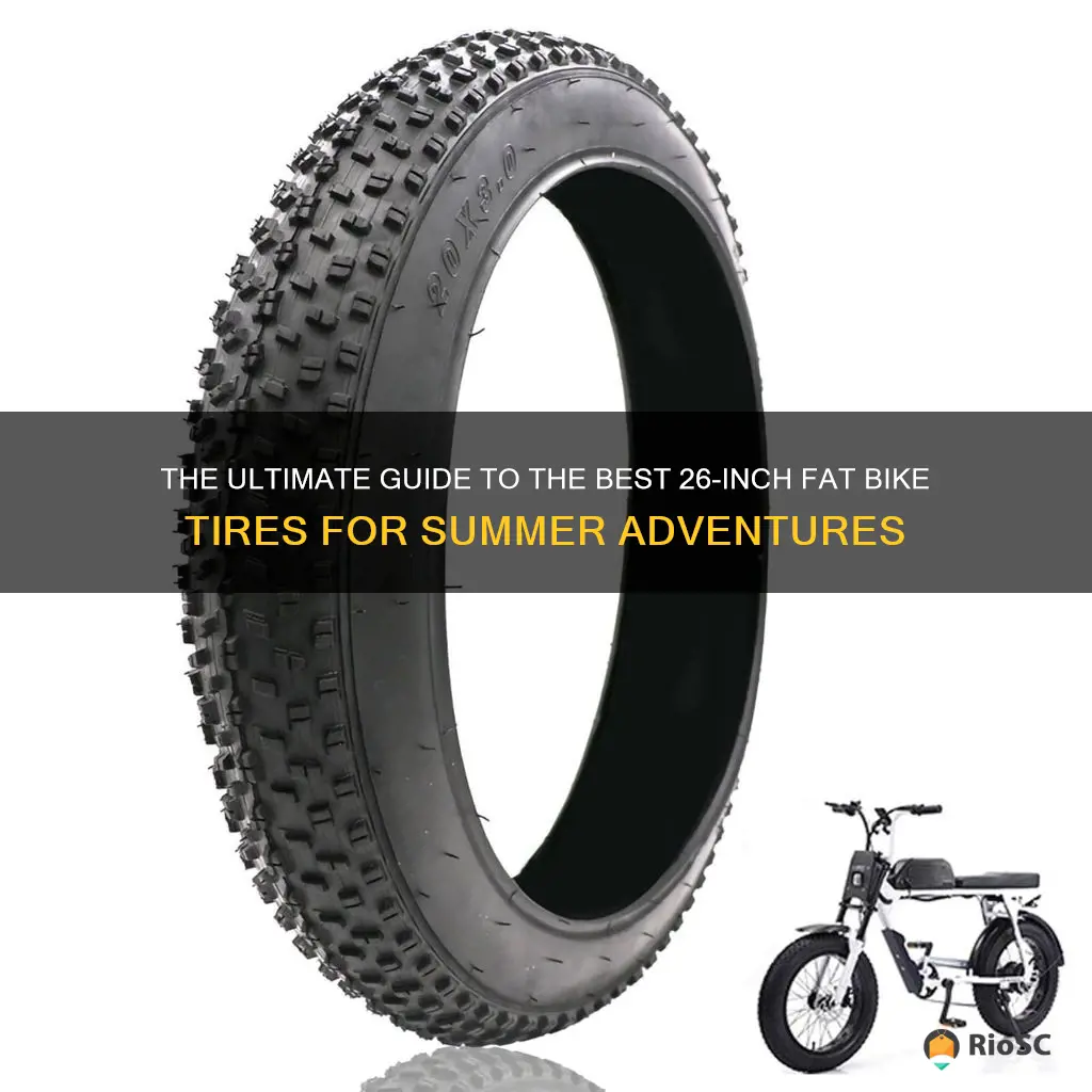 best 26 inch summer fat bike tires