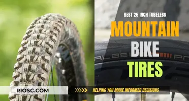 The Ultimate Guide to the Best 26-Inch Tubeless Mountain Bike Tires: Unlocking Peak Performance