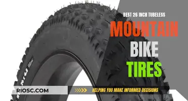 Tubeless Revolution: Top-Tier 26-Inch Mountain Bike Tires