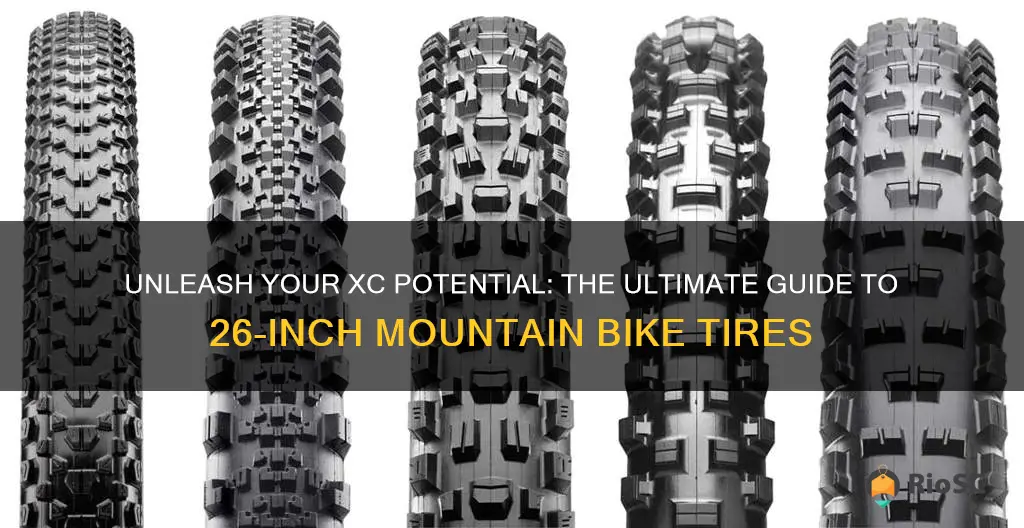 best 26 xc mountain bike tires