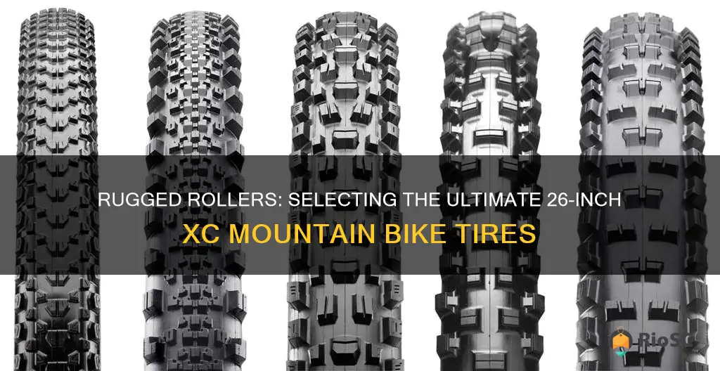 best 26 xc mountain bike tires