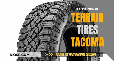 Rugged Adventure: Unveiling the Top All-Terrain Tires for Your Tacoma