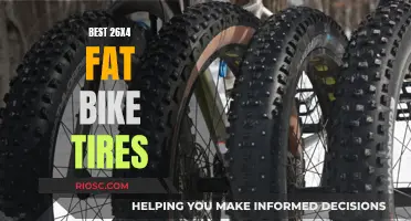 The Ultimate Guide to Fat Bike Tires: Unlocking Adventure on Snow and Mud