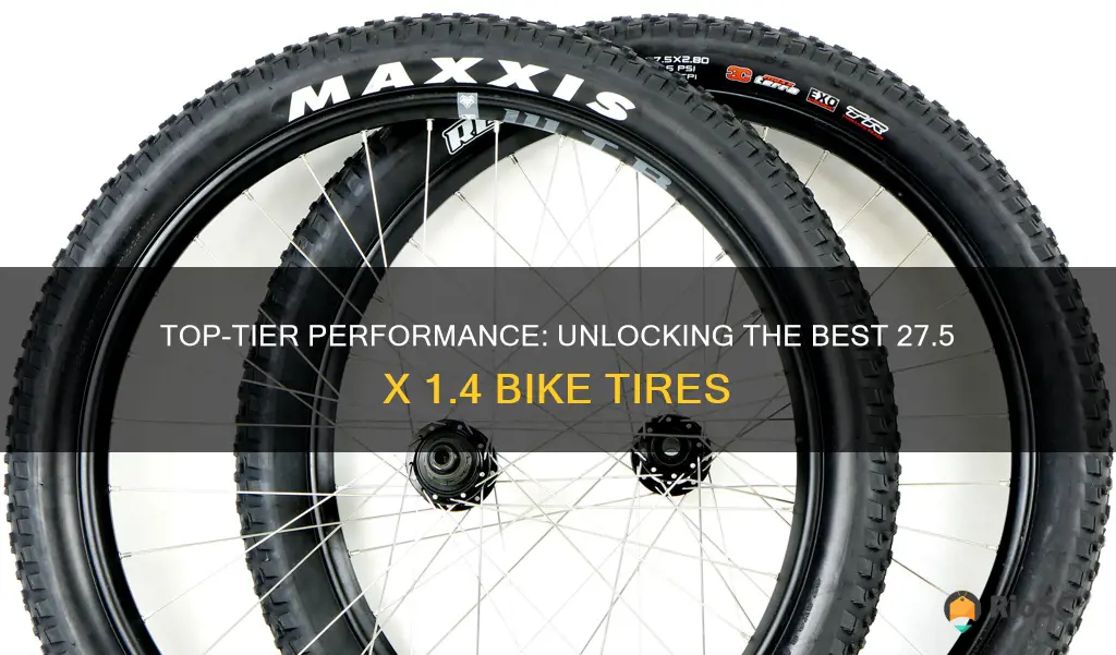 best 27 1 4 bike tires