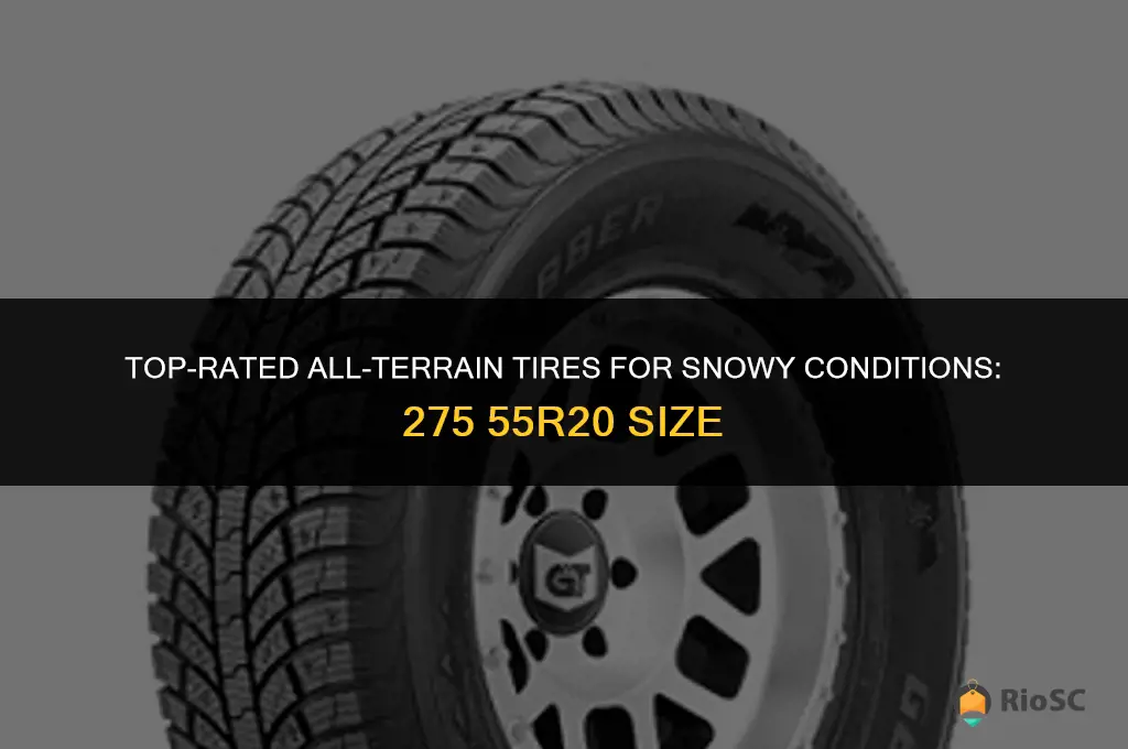 best 275 55r20 all terrain tires for snow