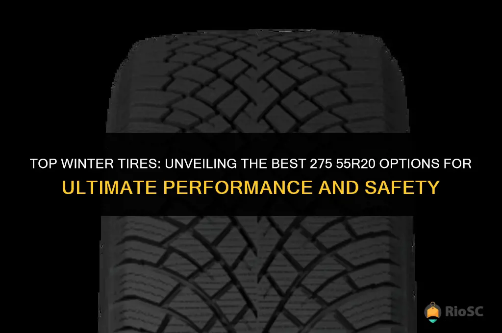 best 275 55r20 winter tires