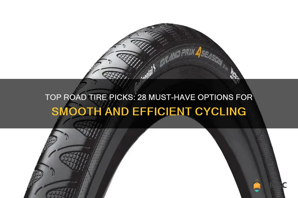 best 28 road tires