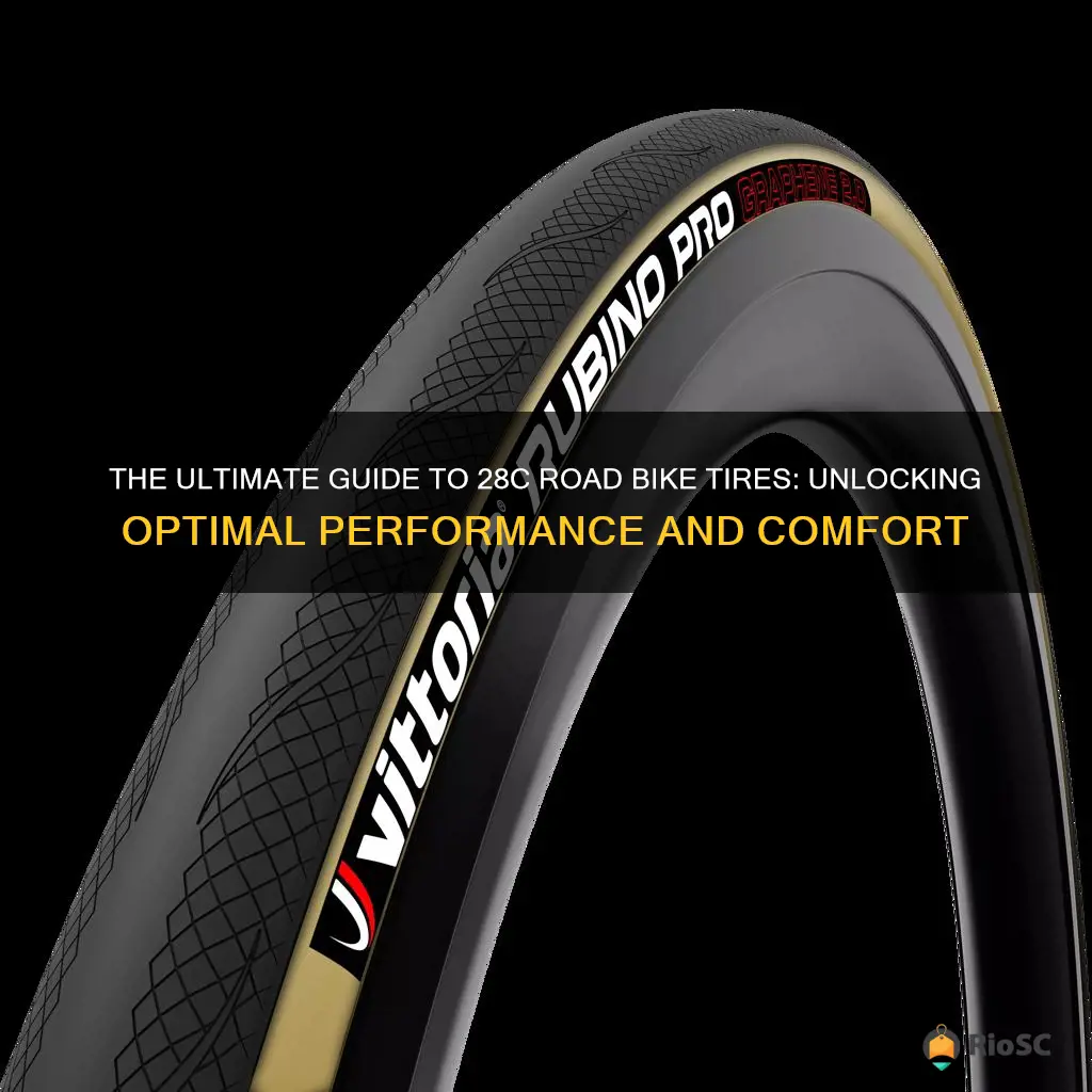 best 28c road bike tires