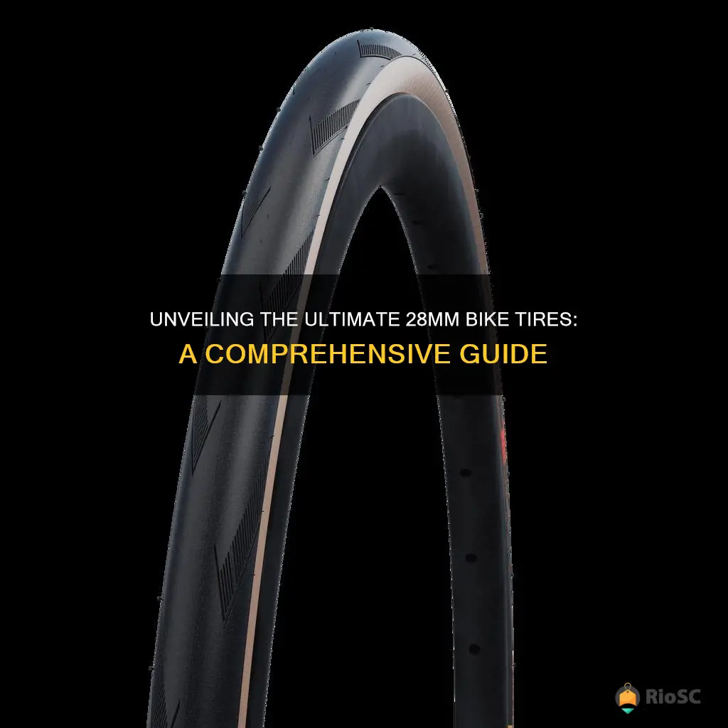 best 28mm bike tires