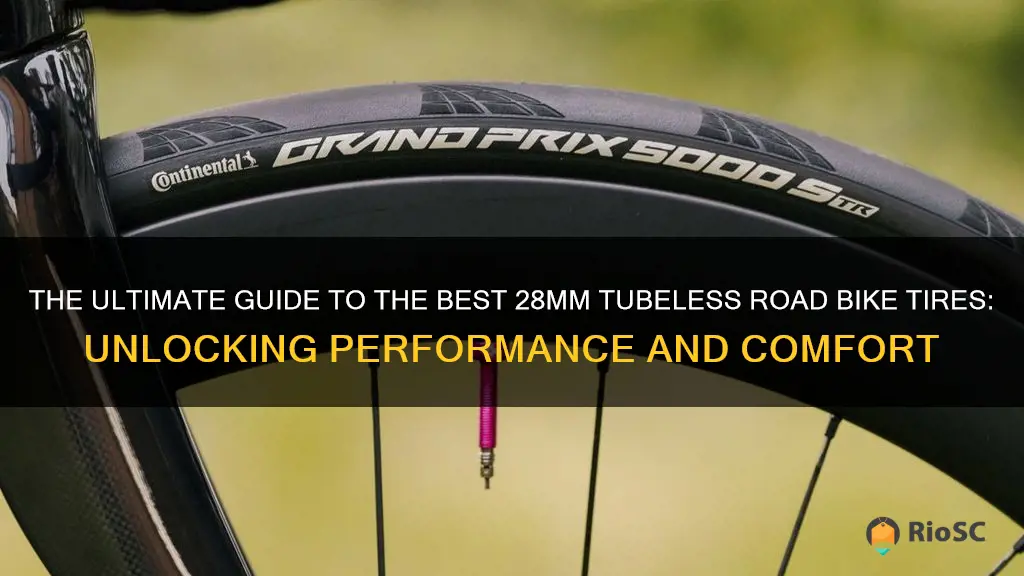 best 28mm tubeless road bike tires