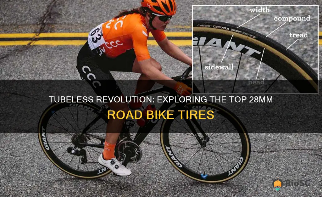 best 28mm tubeless road bike tires