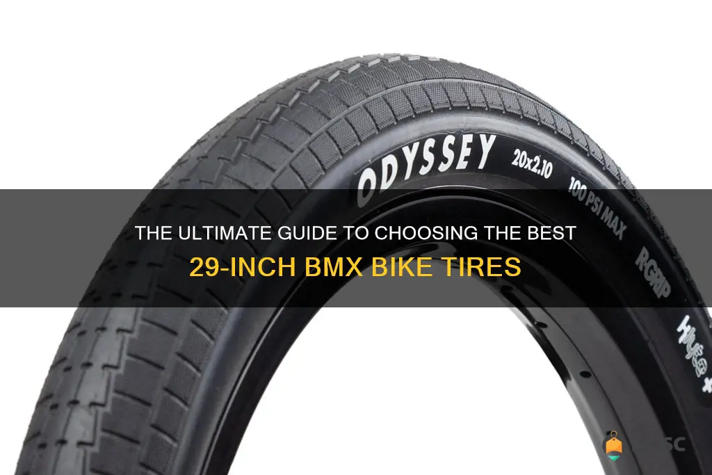 best 29 inch bmx bike tires