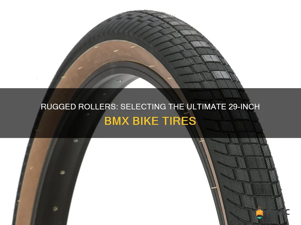 best 29 inch bmx bike tires