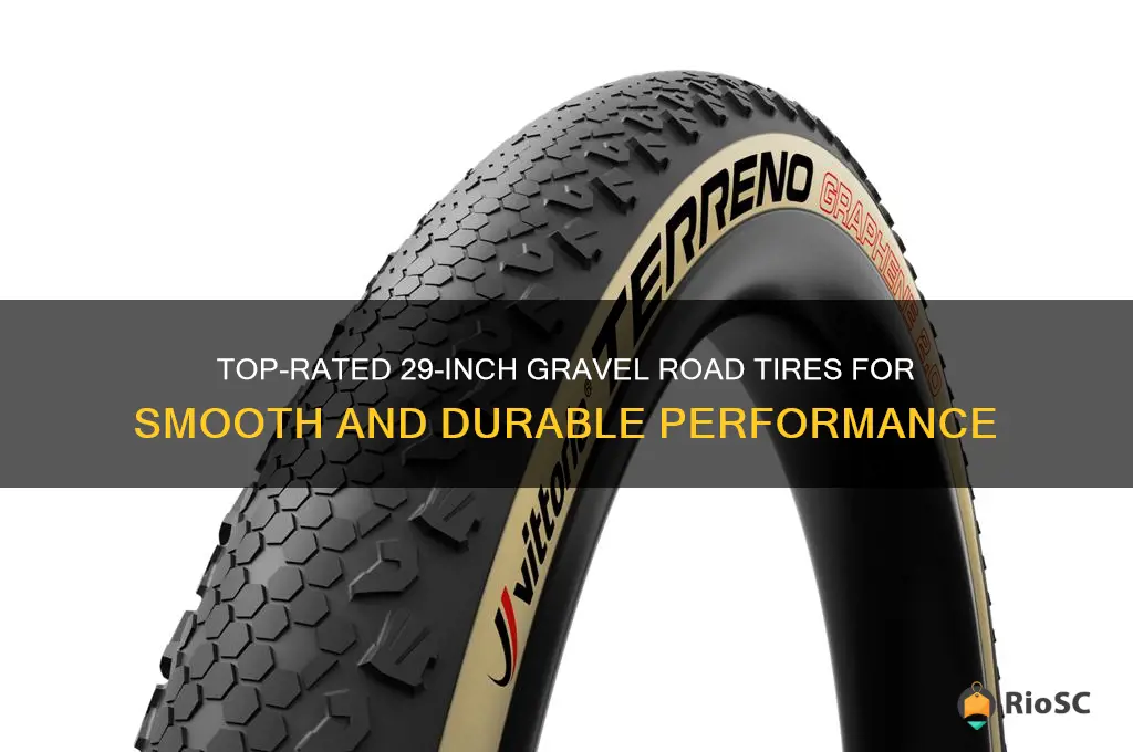 best 29 inch gravel road tires