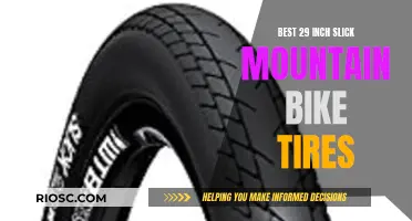 The Ultimate Guide to the Best 29-Inch Slick Mountain Bike Tires: Unlocking Speed and Control