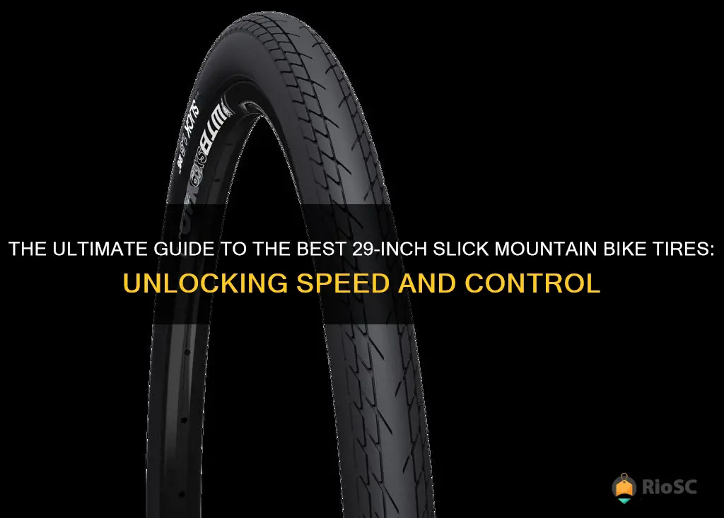 best 29 inch slick mountain bike tires