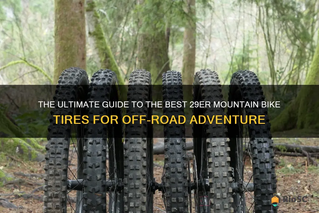 best 29er mountain bike tires for dirt and rock