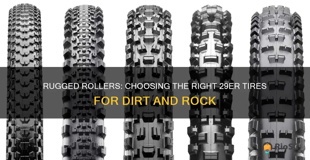 best 29er mountain bike tires for dirt and rock
