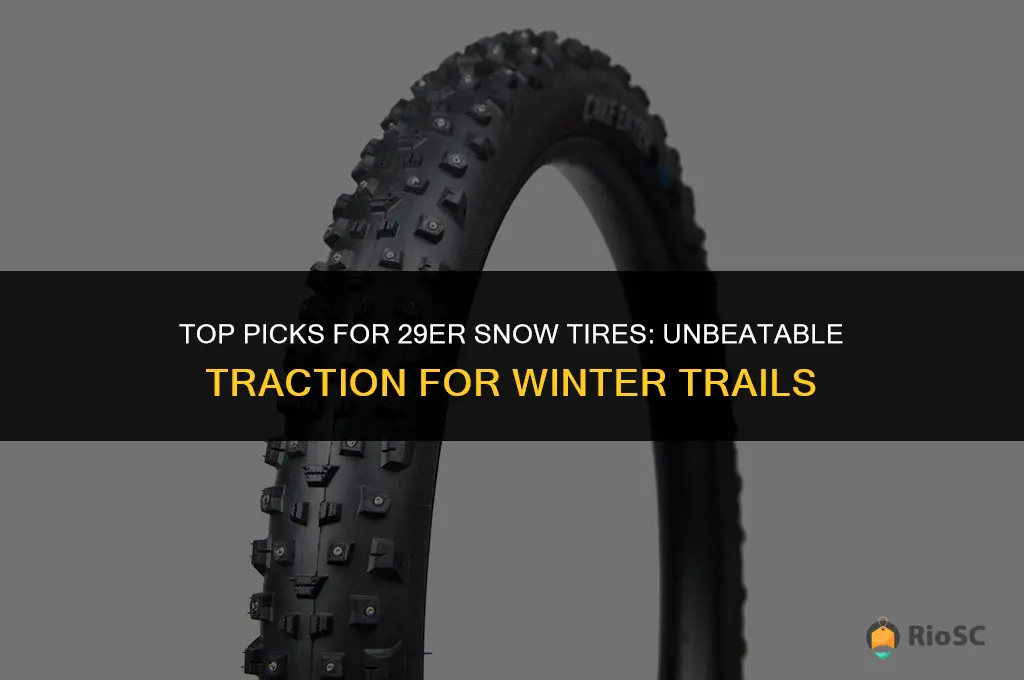 best 29er snow tires