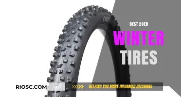 Top Picks for 29er Winter Tires: Unbeatable Traction and Durability for Your Off-Season Rides