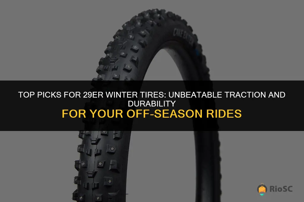 best 29er winter tires