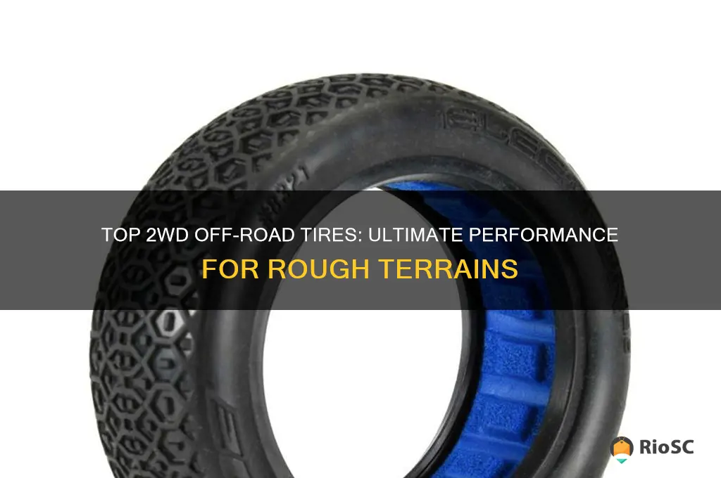 best 2wd off road tires