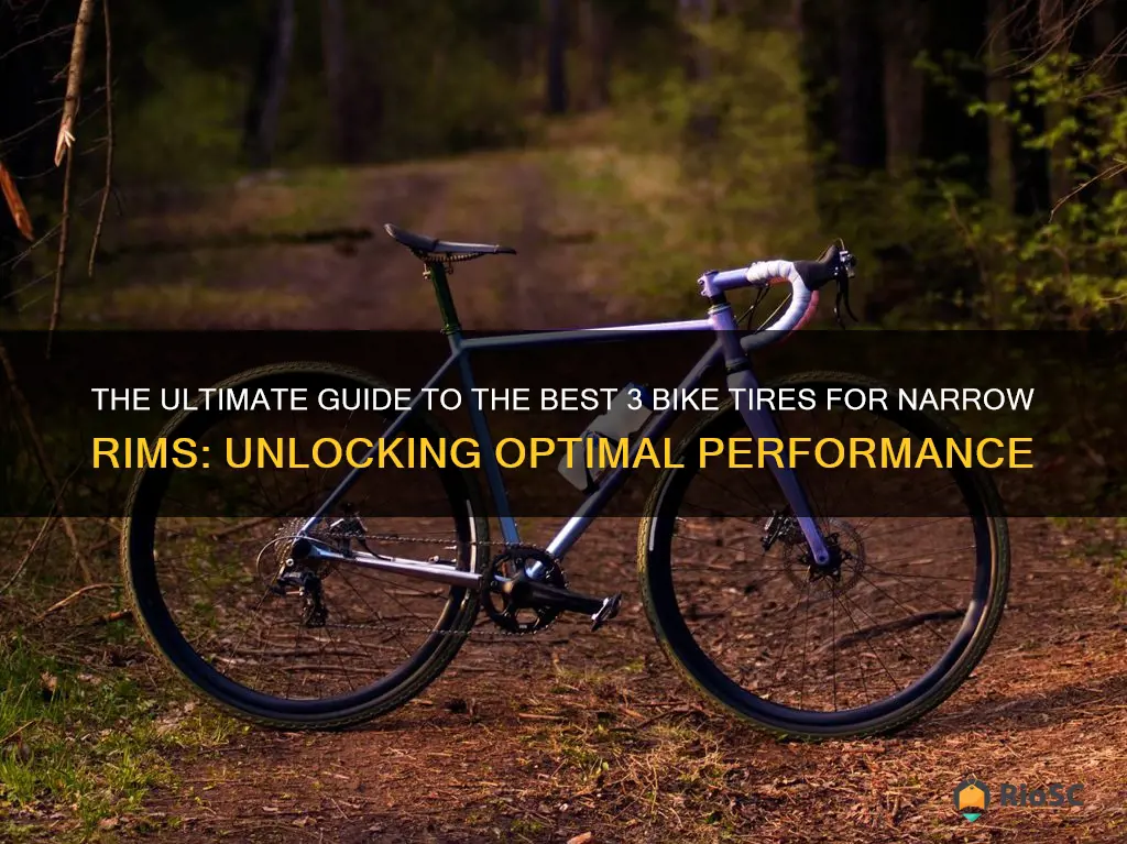 best 3 bike tires for narrow rim