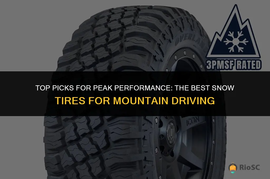 best 3 peak snow tires