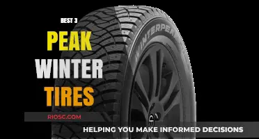 Top Picks for Winter: The Best Peak Performance Tires