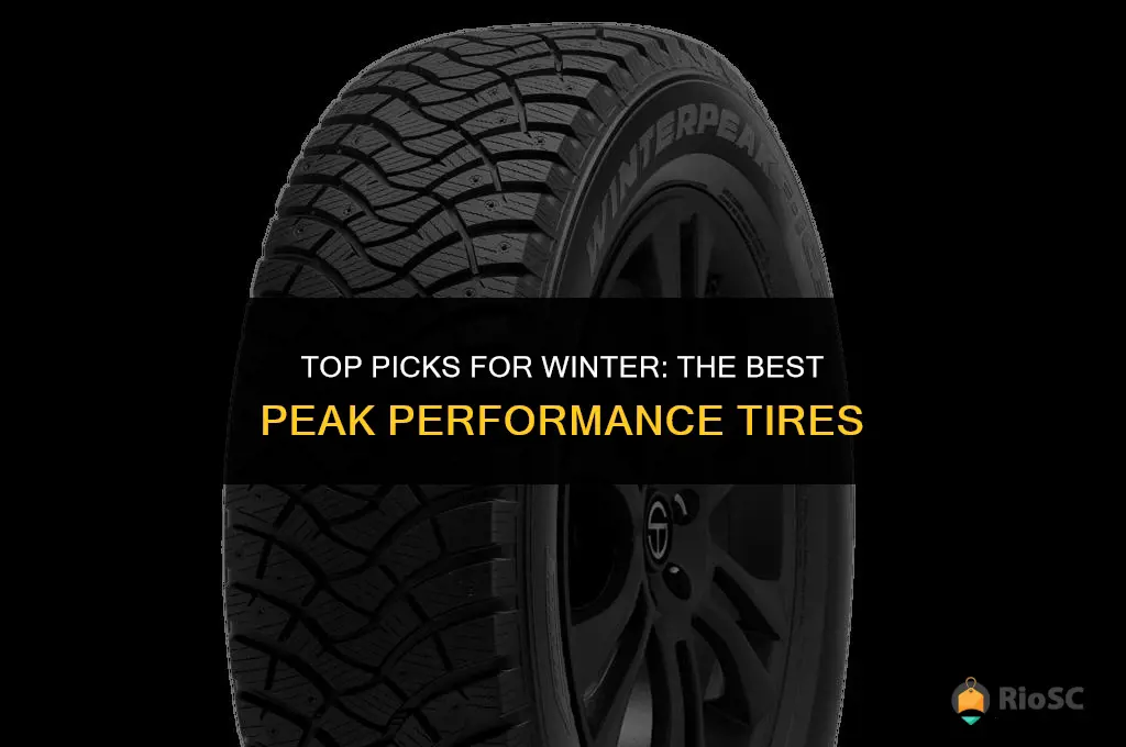 best 3 peak winter tires