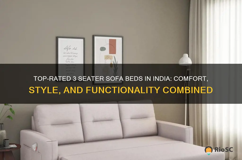 best 3 seater sofa bed in india