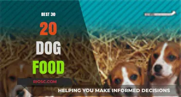 Top-Rated 20% Protein, 30% Fat Dog Foods for Optimal Canine Nutrition