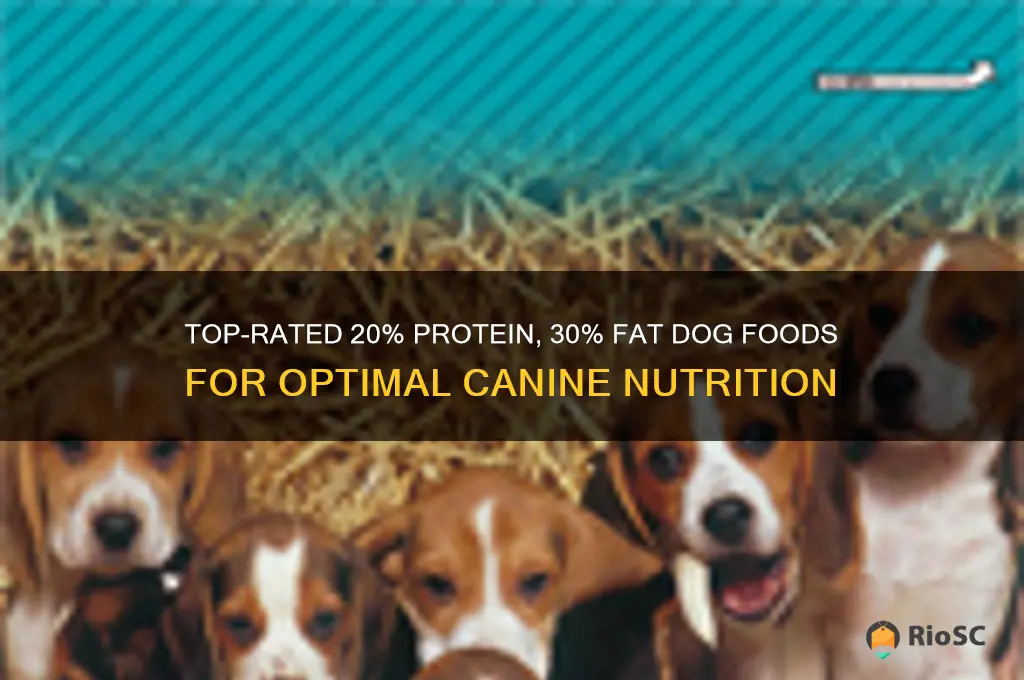 best 30 20 dog food